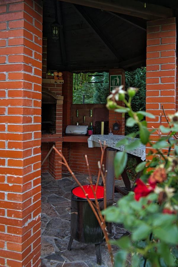 Pensiunea Mara *** Borşa Exterior foto